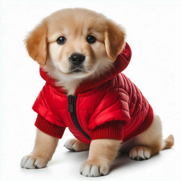 Hundemantel & Hundepullover
